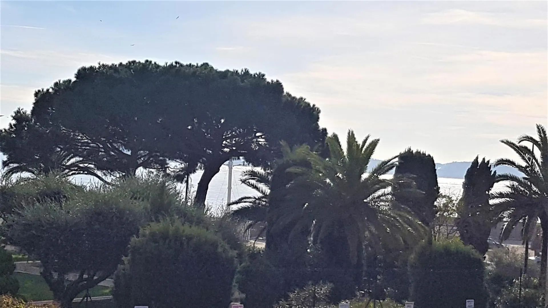 Didalie Locations Mistral Apartment Sainte-Maxime